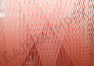 Shedding_Gajera