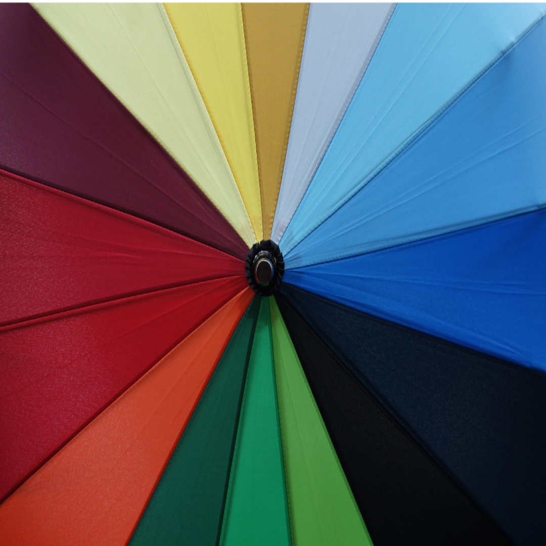 6_Umbrella 6_Umbrella