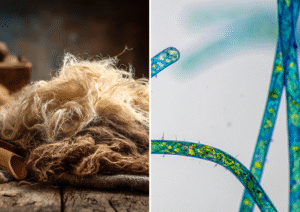 Fiber and filament in textile industry